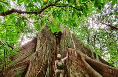 Senderismo por la colonia Luau