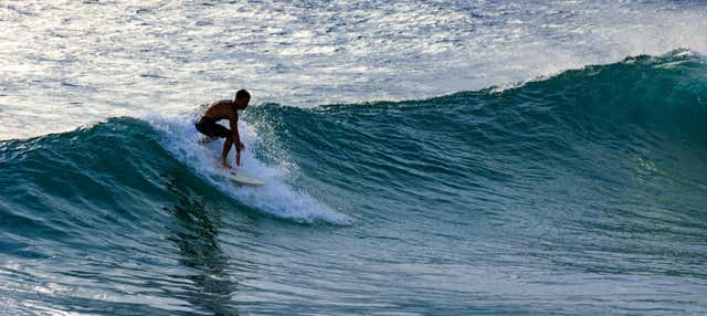 Rio de Janeiro Surfing Lesson