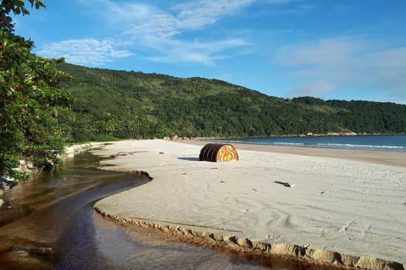 Ilha Grande Hike