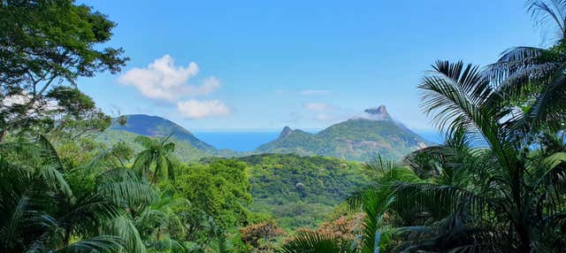 Free Offroading Tour of Tijuca National Park