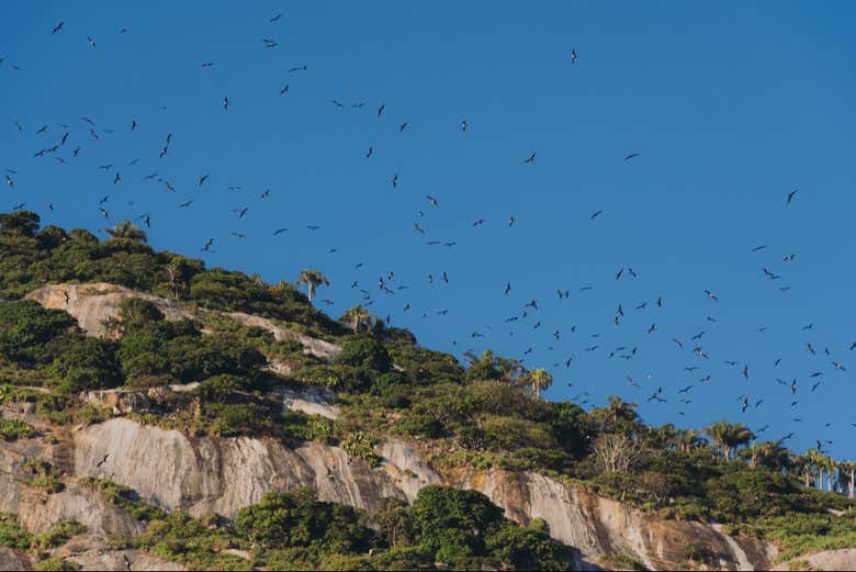 Paisajes que veremos durante la travesía