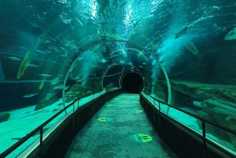 AquaRio