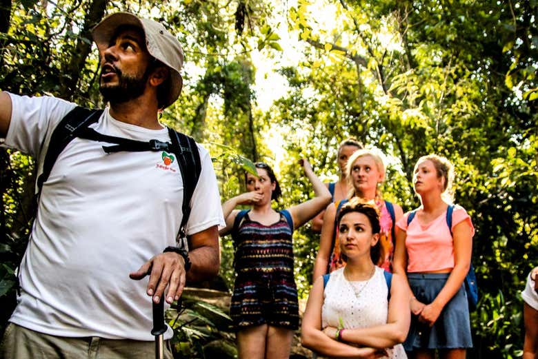 Aprendendo sobre a importância da floresta