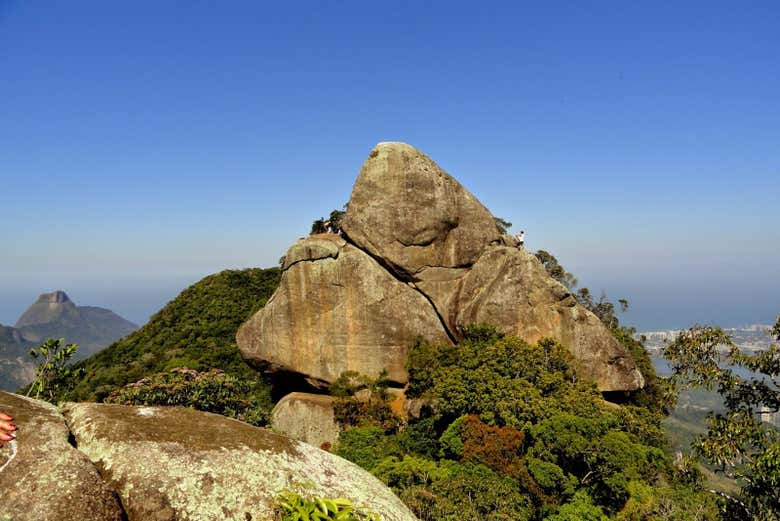 Bico do Papagaio