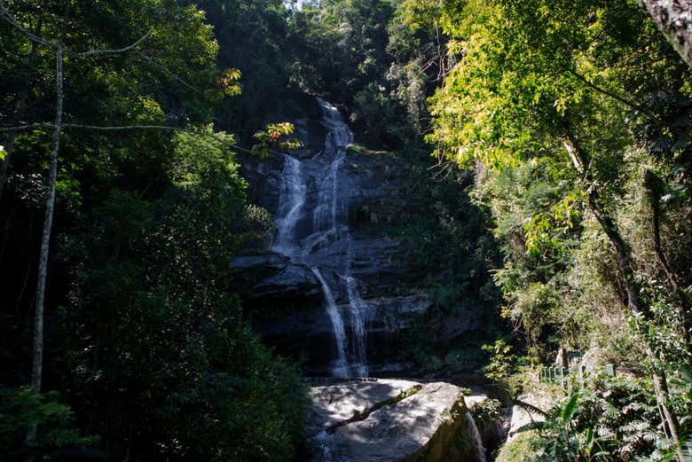 Floresta da Tijuca