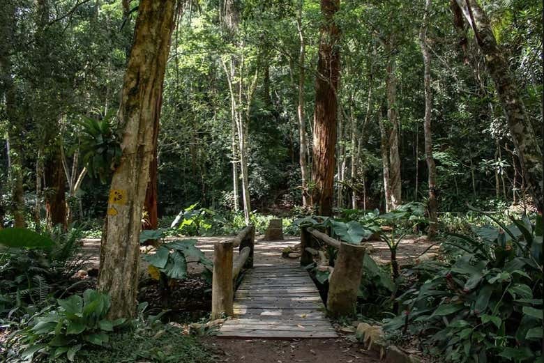Discover lush vegetation