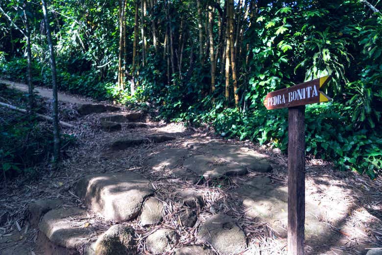 Pedra Bonita hiking trail