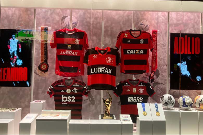 Camisetas del Flamego