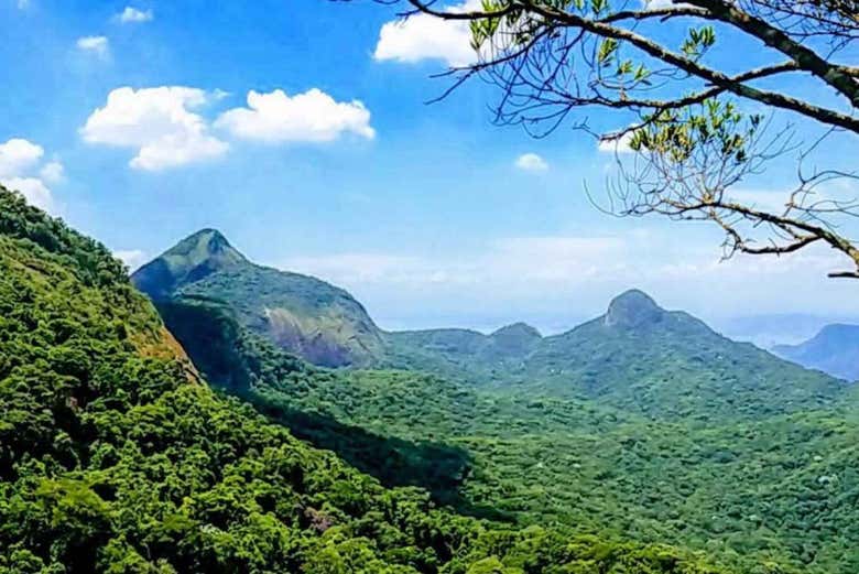 Paisajes naturales de Tijuca