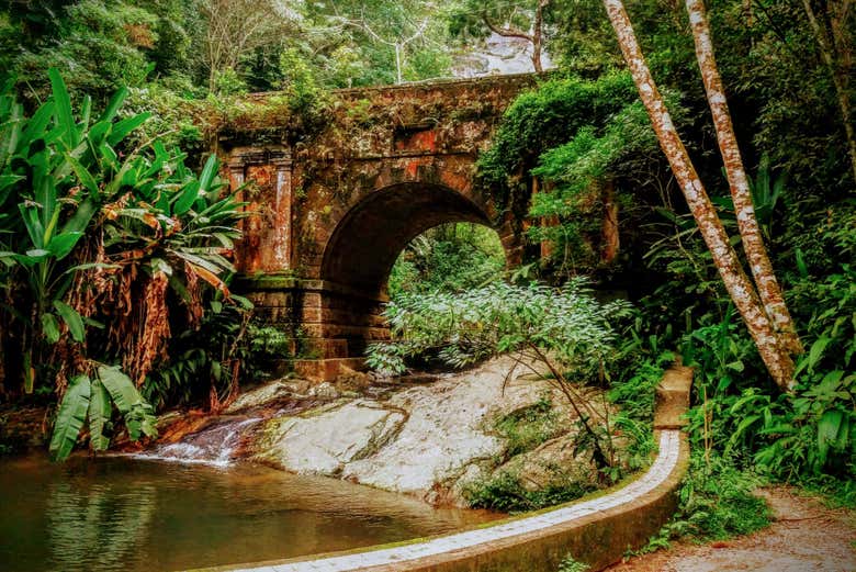 Disfrutando de los paisajes durante el tour