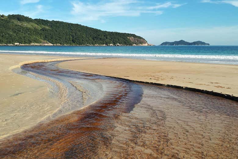 Ilha Grande