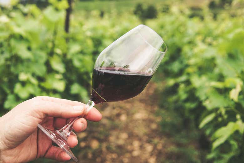 Degustaréis una cata de tres vinos