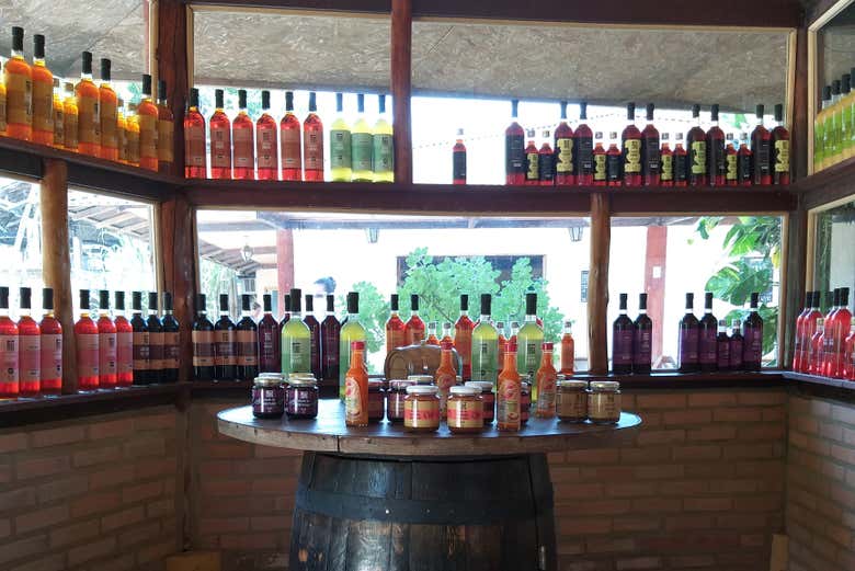 Cachaça distillery