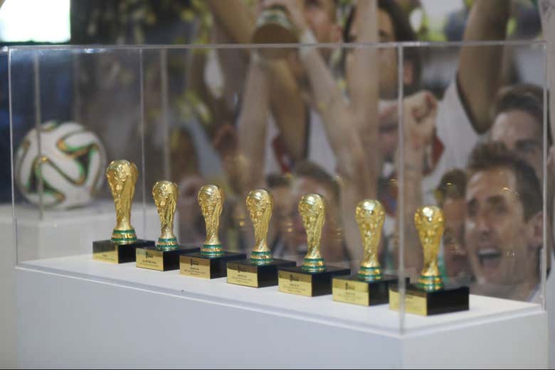 Diferentes trofeos expuestos 