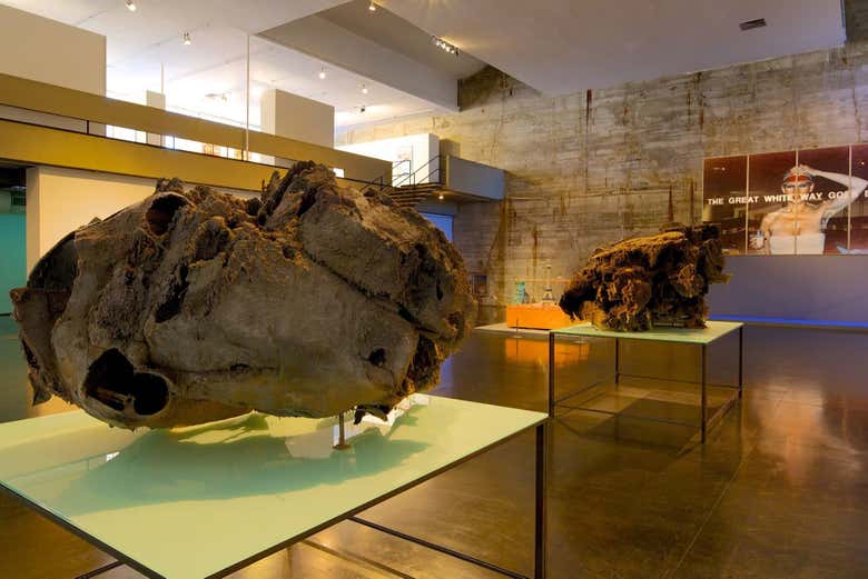 Piezas del Museo de Arte Moderno