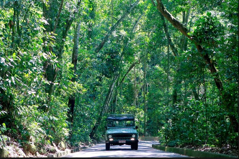 Esplorando il Parco nazionale di Tijuca