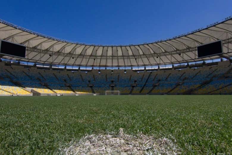 Nel campo da gioco dello stadio