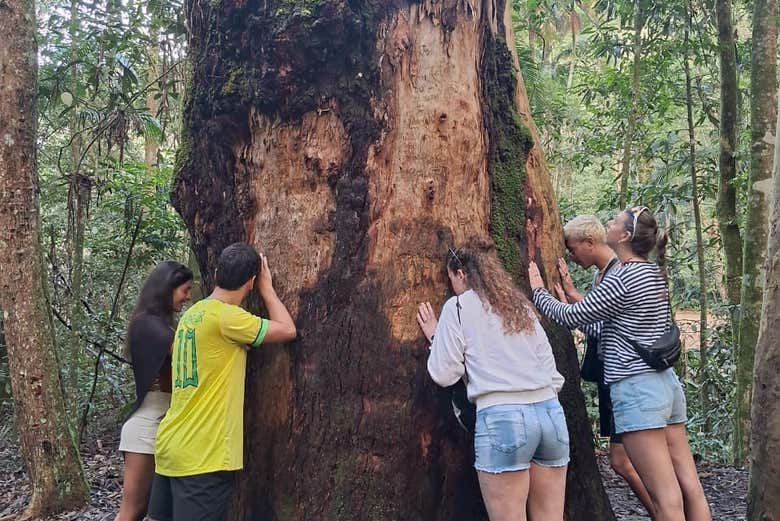 Conectado con la naturaleza