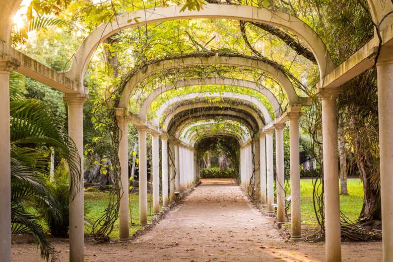 Exploring Rio de Janeiro's botanical garden