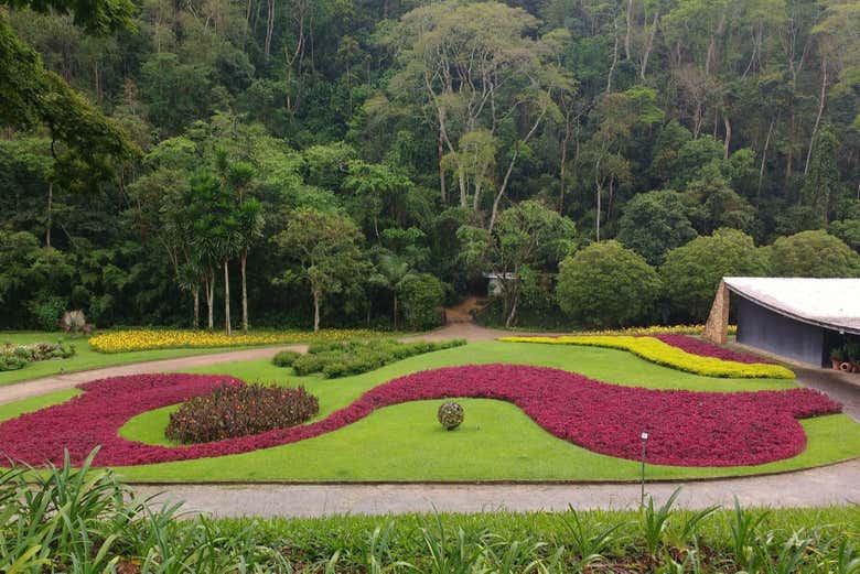 Gardens of Sítio Burle Marx