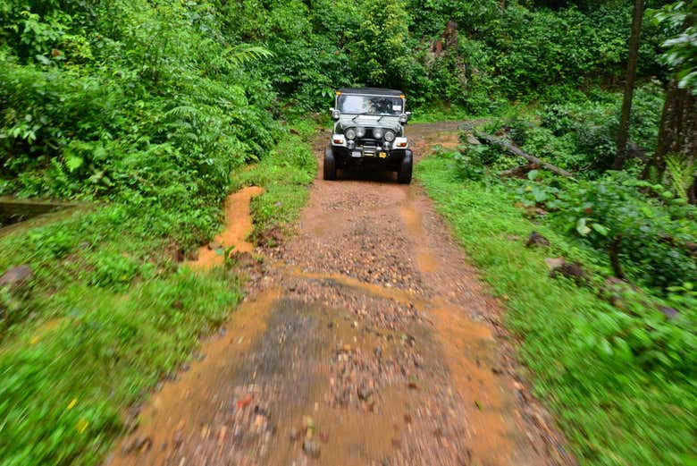Una Jeep nel Parco della Tijuca