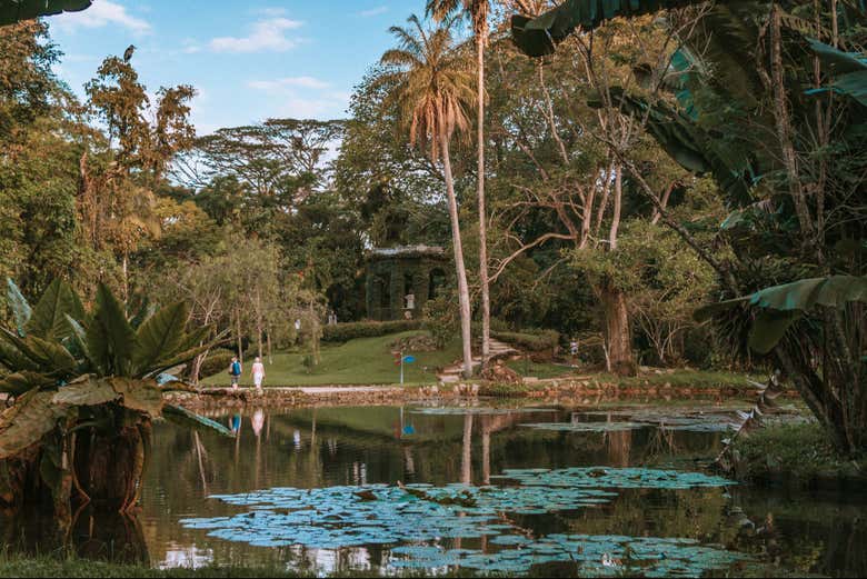 Um dos lagos incríveis do Jardim Botânico