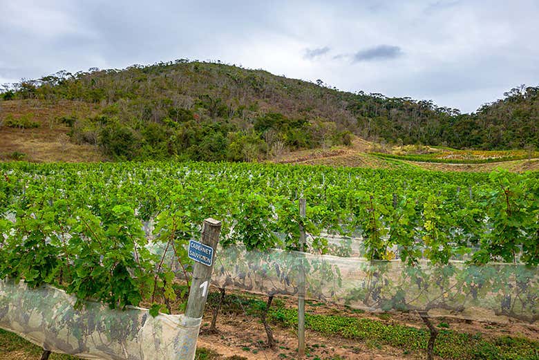 ¡Un día en plena naturaleza!