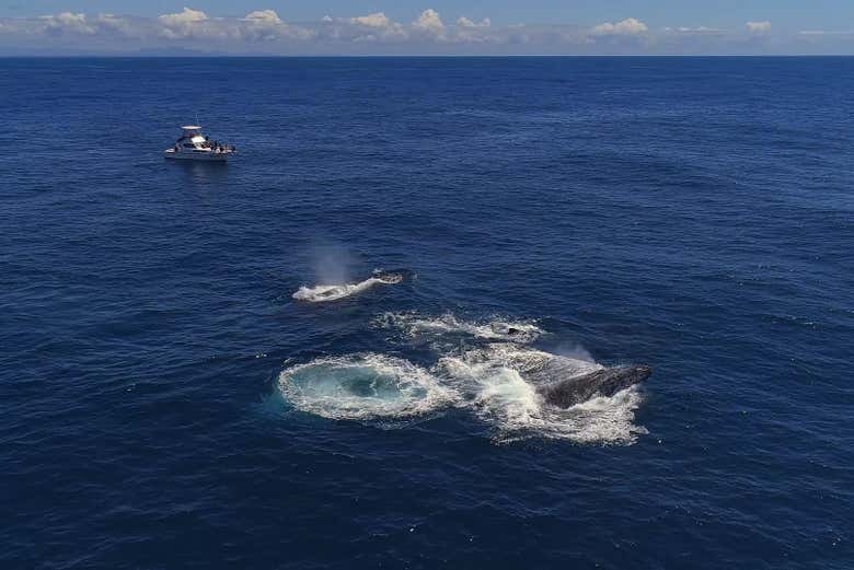 Panorâmica da travessia no Rio de Janeiro