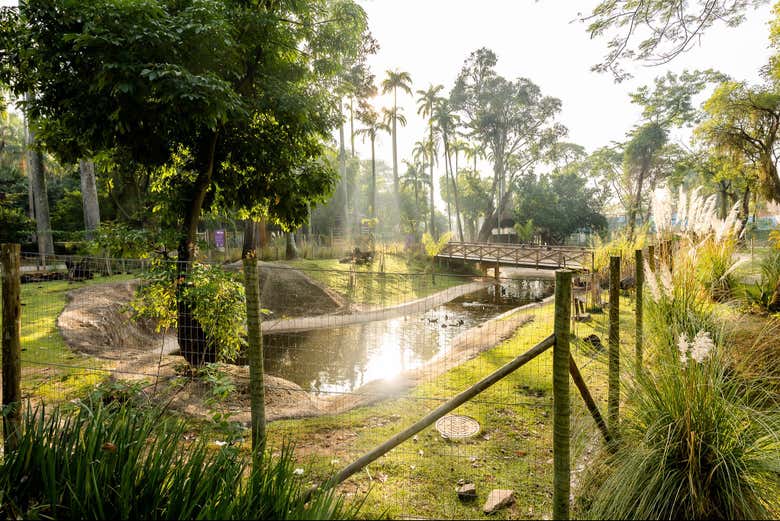 Ready to visit the BioParque?