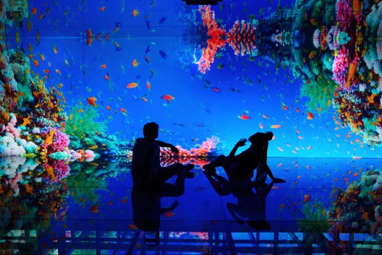 Spot the various species in AquaRio
