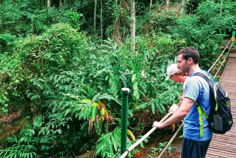 Parque Nacional de Tijuca