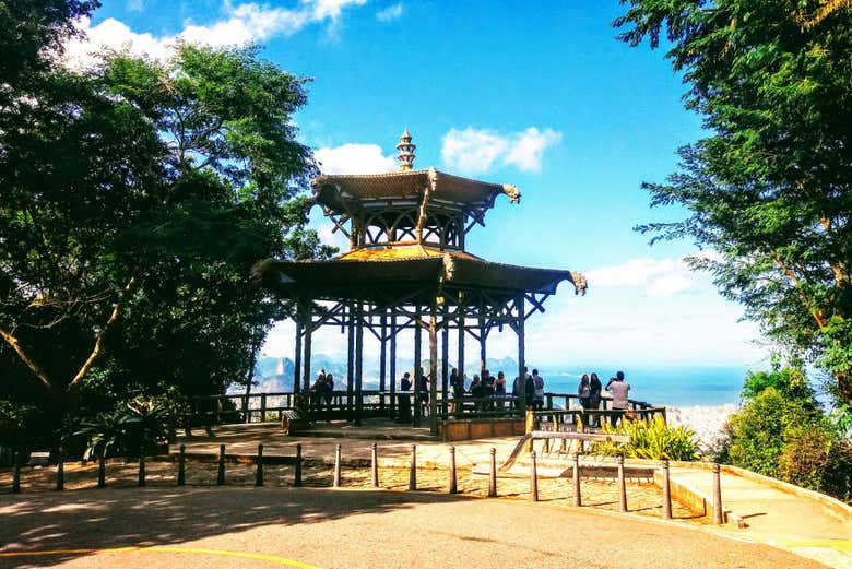 Tour por los parques nacionales de Río de Janeiro