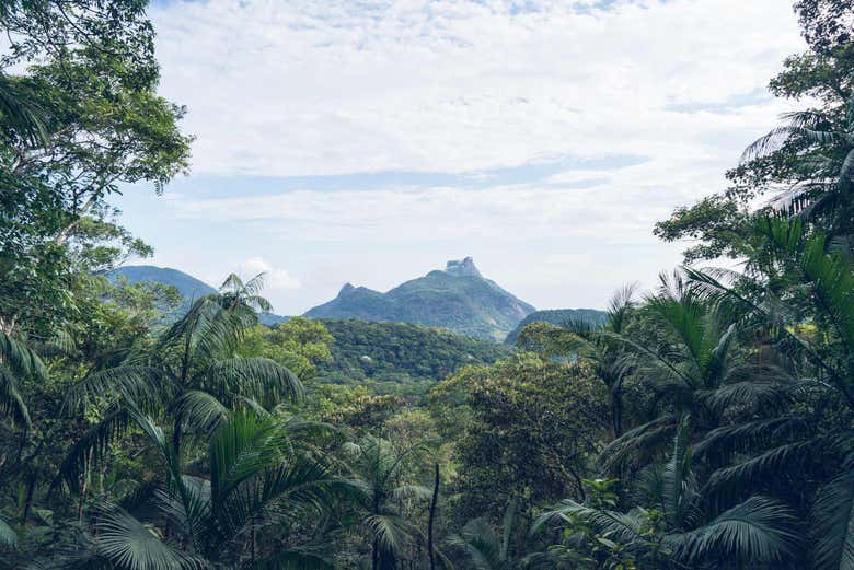 Pico da Tijuca