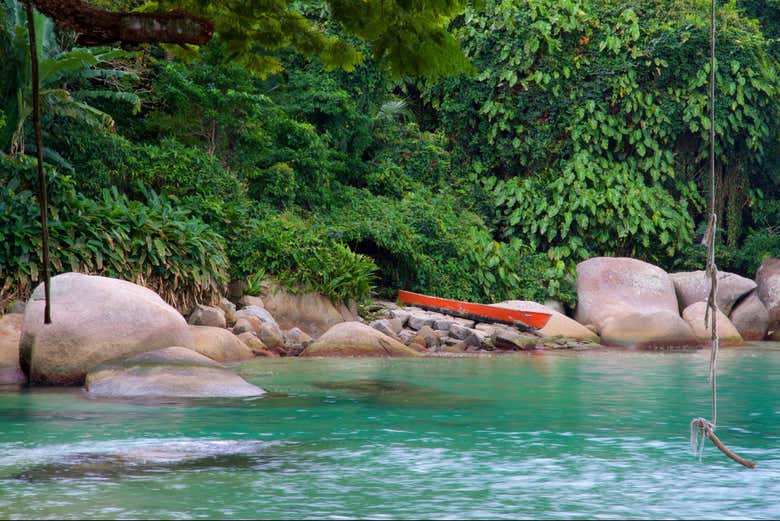 Veréis como la selva se funde con el mar