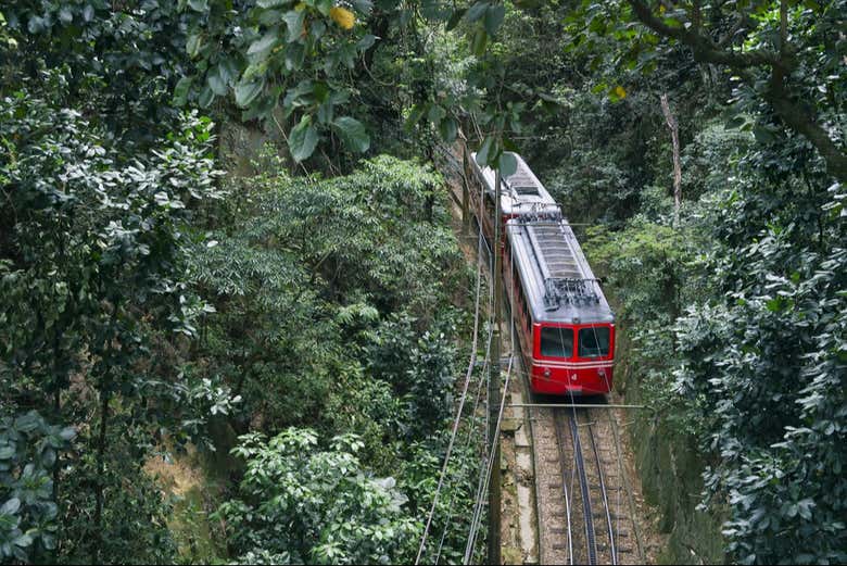 Durante a subida do trem pela morro do Corcovado