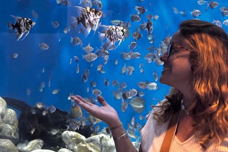 Disfrutando de la experiencia en AquaRio