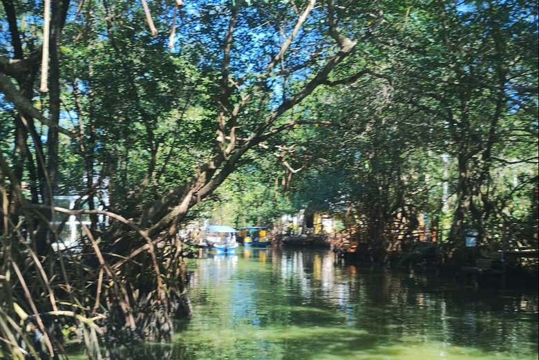 Exótica naturaleza de Barra da Tijuca