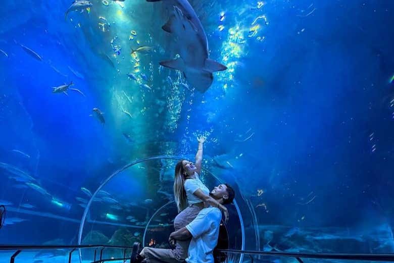 Disfrutando en pareja de AquaRio