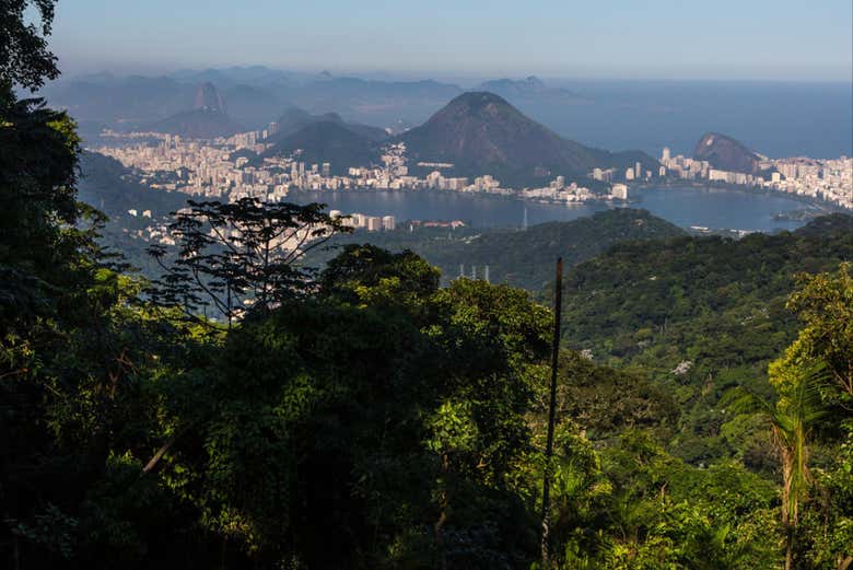 Vista da Floresta da Tijuca