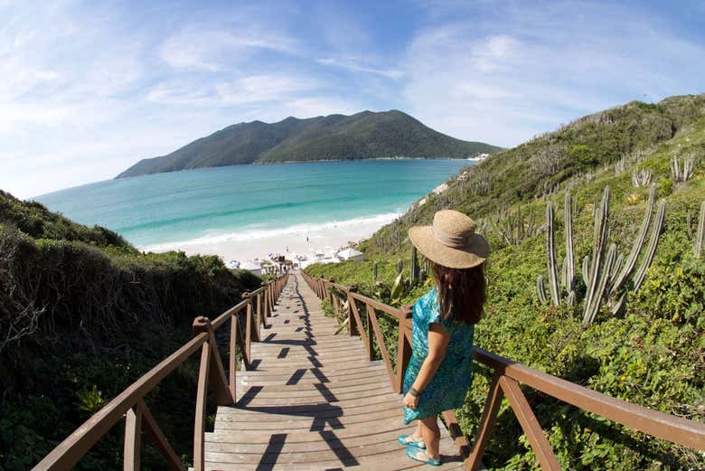 Praia do Farol, contraste entre areia e vegetação da zona