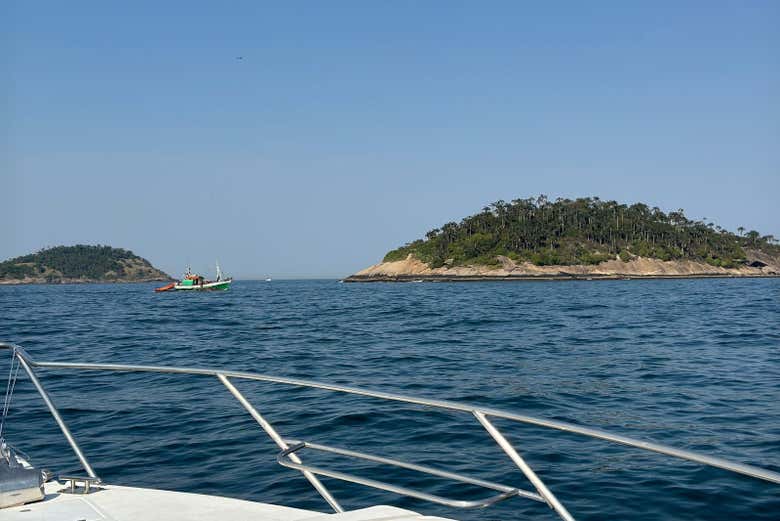 Disfrutando del panorama 