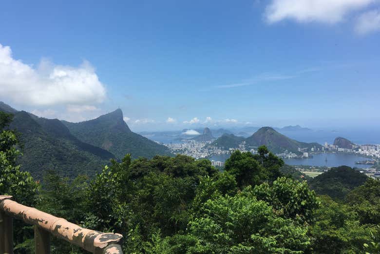 Contemplando las vistas del parque desde un mirador