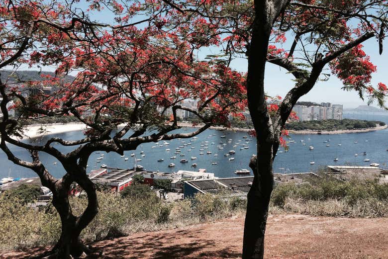 Vistas da praia de Botafogo