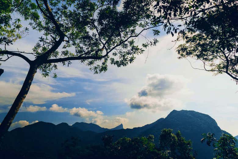Paisagem brasileira