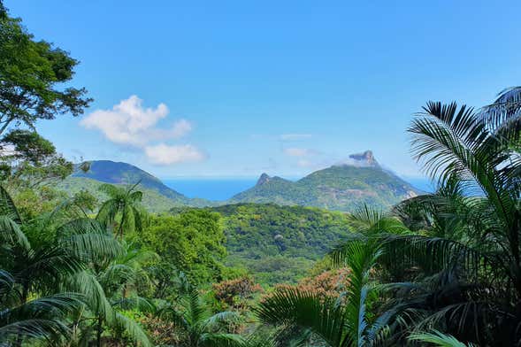 Randonnée dans les grottes et cascades du parc national de Tijuca