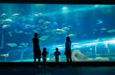 AquaRio & Olympic Boulevard Tour