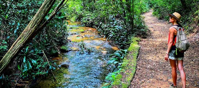Visite des parcs nationaux de Río de Janeiro