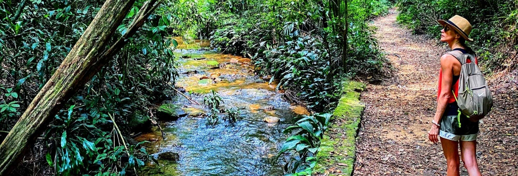Excursões de um dia em Rio de Janeiro