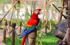 Trasporto con biglietti per il BioParco di Rio