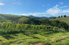 Visita a la vinícola Inconfidência